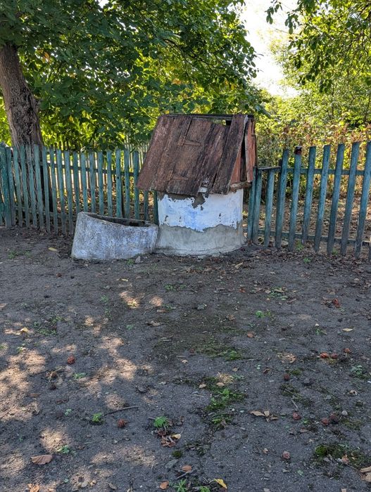 Продам будинок с. Копиткове