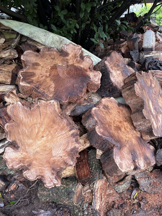 Madeira mesas de centro de Eucalyptus australiano vermelho