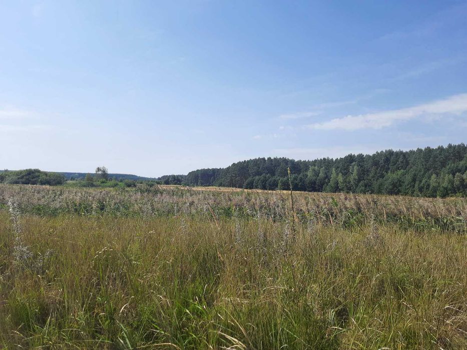 Димер, 24 га, ОСГ. Поруч ліс і  вода