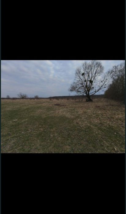 Земельна ділянка під забудову в селі Ставчани