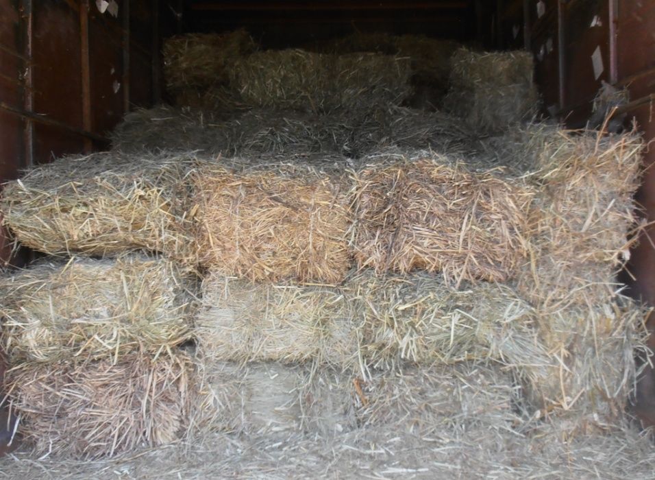 Сено разнотравие,в мешках и тюках 2025.Днепр. Возможна доставка