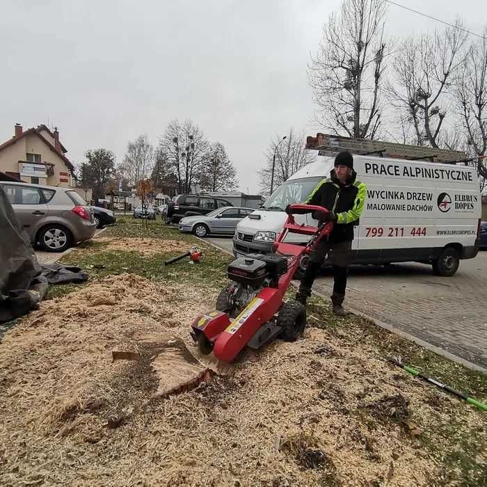 Frezowanie pni, korzeni - usuwanie karpin - mulczowanie / karczowanie