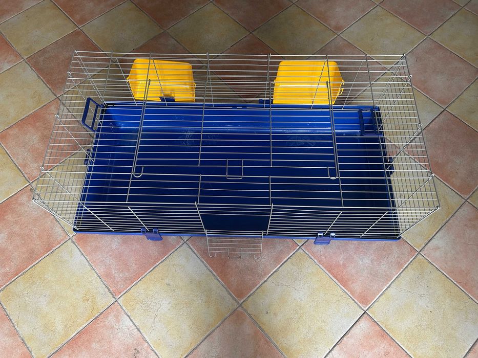 Gaiola Pocos da Índia/Coelhos