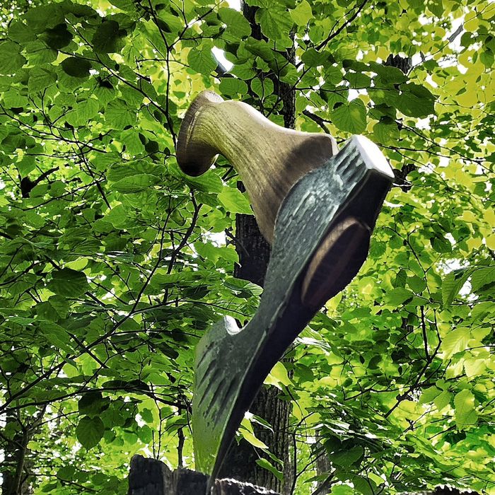 Сокири ковані , з чохлом шкіряним .