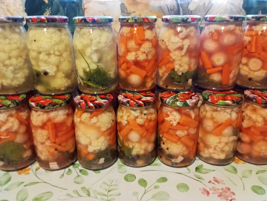 Kiszone Ogórki, sezon 2025