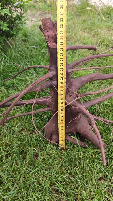 Коряга в аквариум