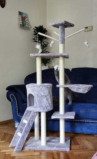 Drapak dla kota WYSOKI