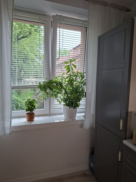Sprzedam mieszkanie - Widok 4