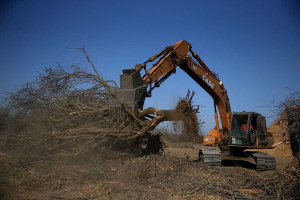 Розліснення полів, корчування дерев, корчування пнів,