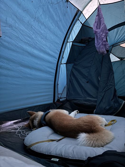 Tenda de campismo com varetas - ARPENAZ 4.2 - 4 pessoas - 2 quartos