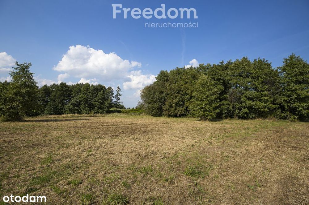 Działka 336/2 - 14,53 ar Rzeszów