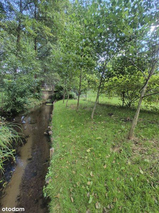 REZERWACJA I Dom na sprzedaż - Dąg, gmina Łukta I działka 1000 m2