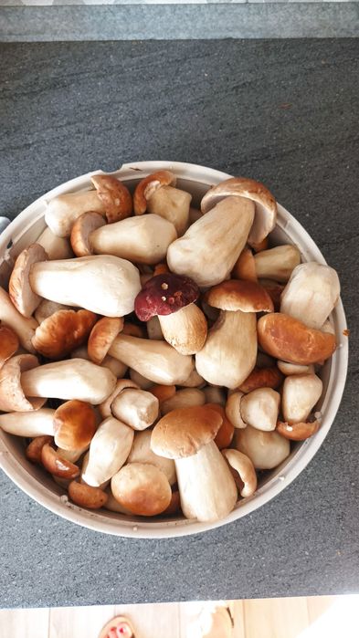 Grzyby w zalewie leczo