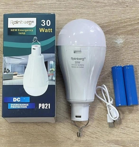 Лампа аварійна led 30w з гачком 2 акумулятора 18650 Rainberg  TIPE C