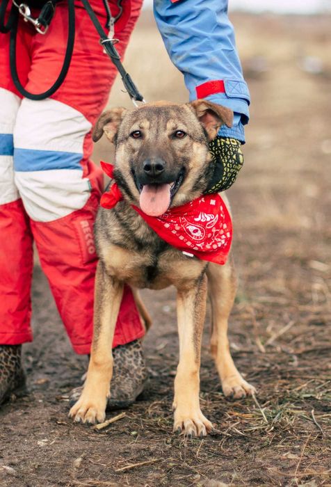 Муха дуже чекає на свою турботливу і люблячу сім'ю..