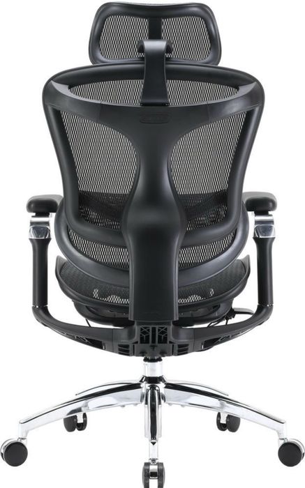 Крісло Sihoo Doro C300 Pro Black