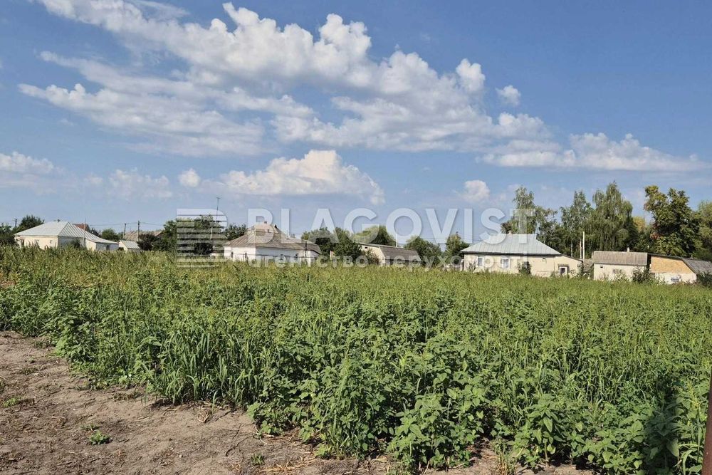 Продаж земельної ділянки 950 СОТОК під ведення СІЛЬСЬКОГО ГОСПОДАРСТВА або можливо під ЖИТЛОВУ ЗАБУДОВУ с. Красилівка, Броварський р-н