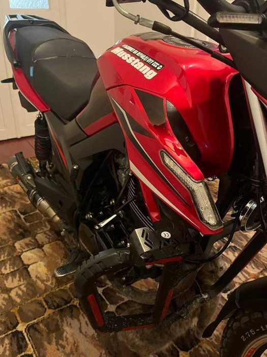 Mustang Fortuna 200,2024 року