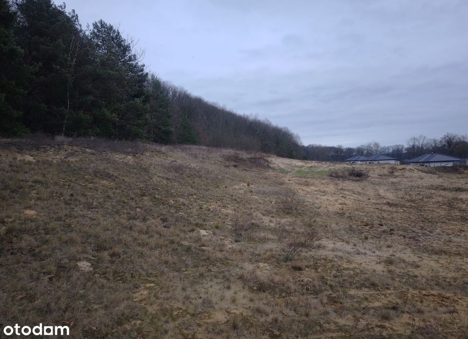 Urokliwa Działka w Zamku Bierzgłowskim. - Widok 4