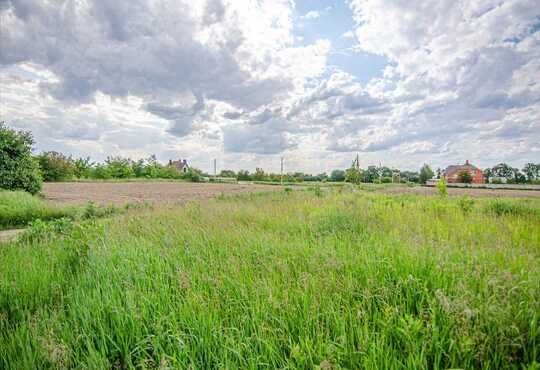 Ділянка з фундаментом в Баранинцях(біля Ужгорода)