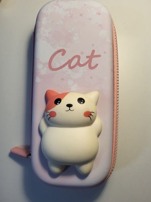 Пенал для школьницы