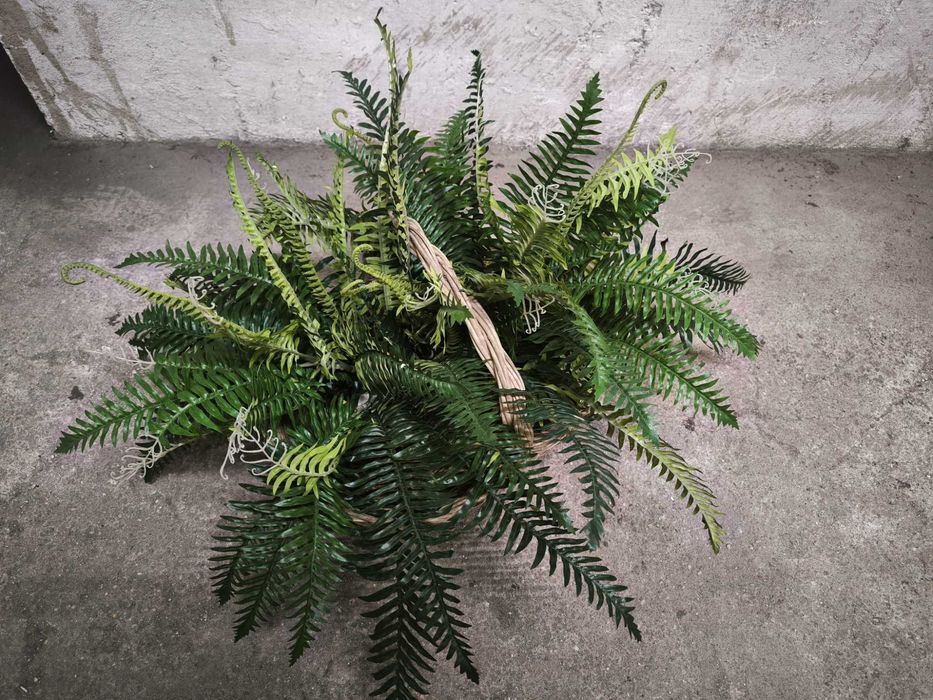 4 Samambaias artificiais