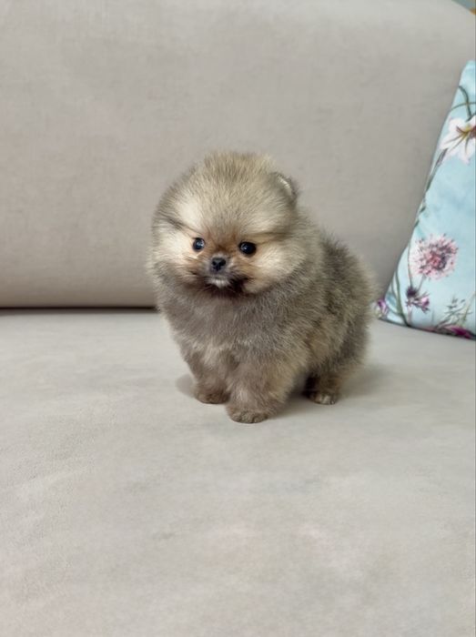 МІКРО хлопчик!Ексклюзив!