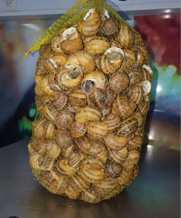 Sacos de caracoletas deliciosas para entregas