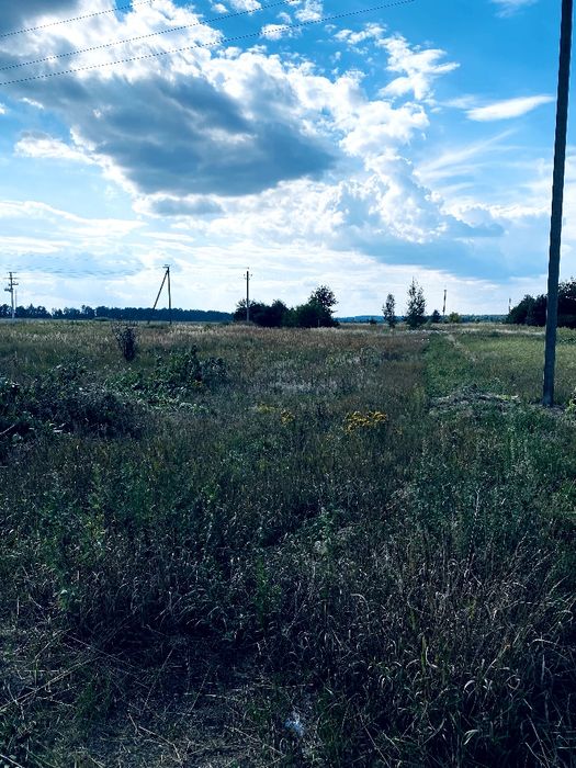 Будинок у Пилиповичах з великою ділянкою