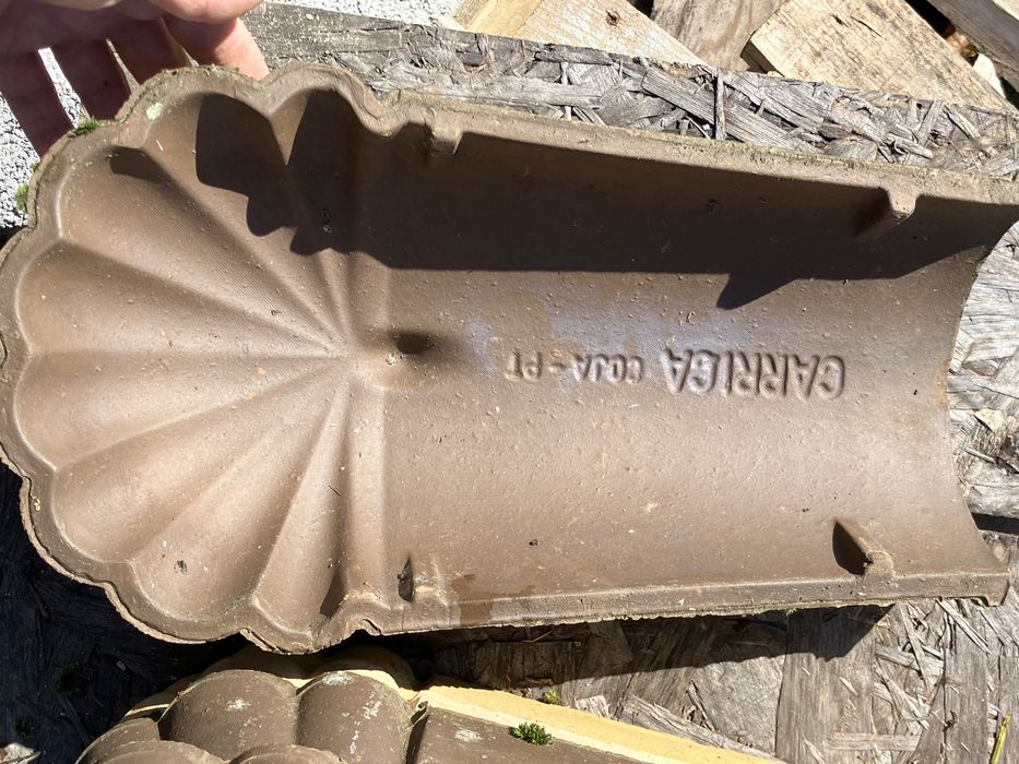 Patas de Leao + telhoes Carriça