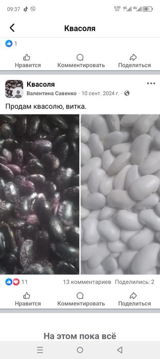 Продам лімську квасолю,кузову,витку