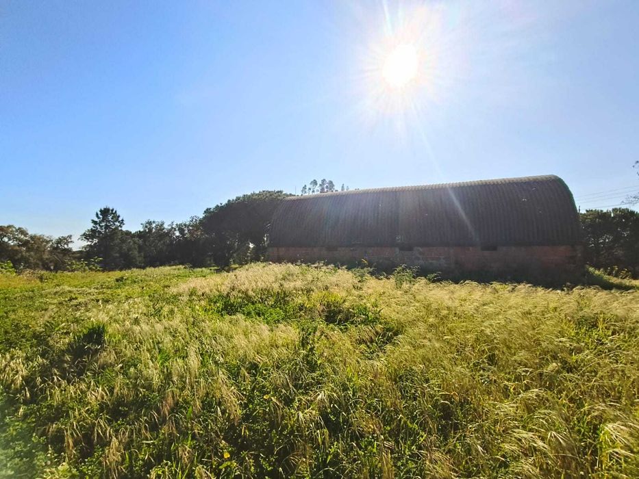 Terreno com Armazém Canha