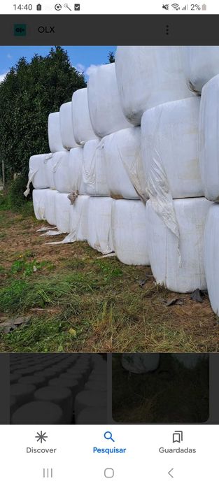 Vende se rolo de azevem