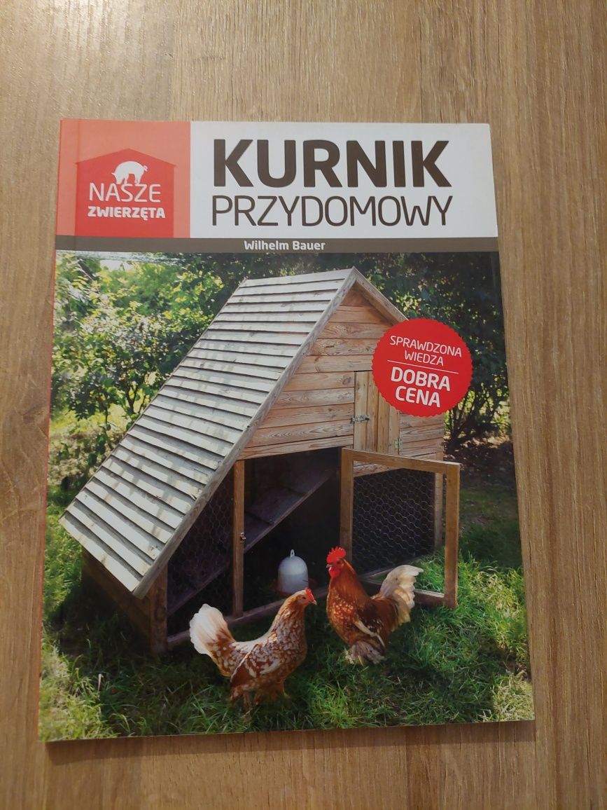 Kurnik przydomowy