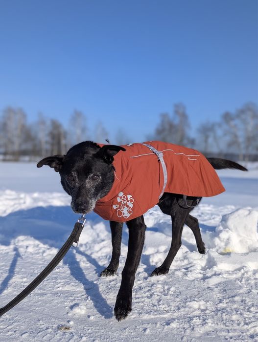 Olsen jest gotowy na najpiękniejszą podróż do własnego domu!