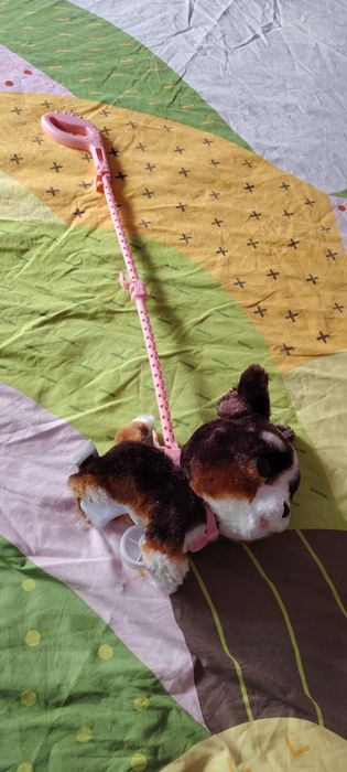 Cão de brincar emite sons