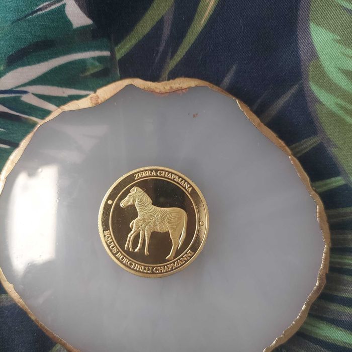Medal, moneta pamiatkowa  Zoo Gdańsk. Zebra
