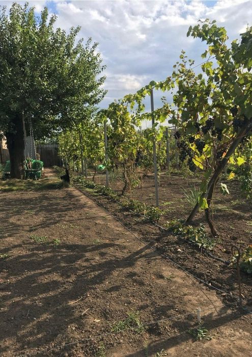 Добротный дом в центре села