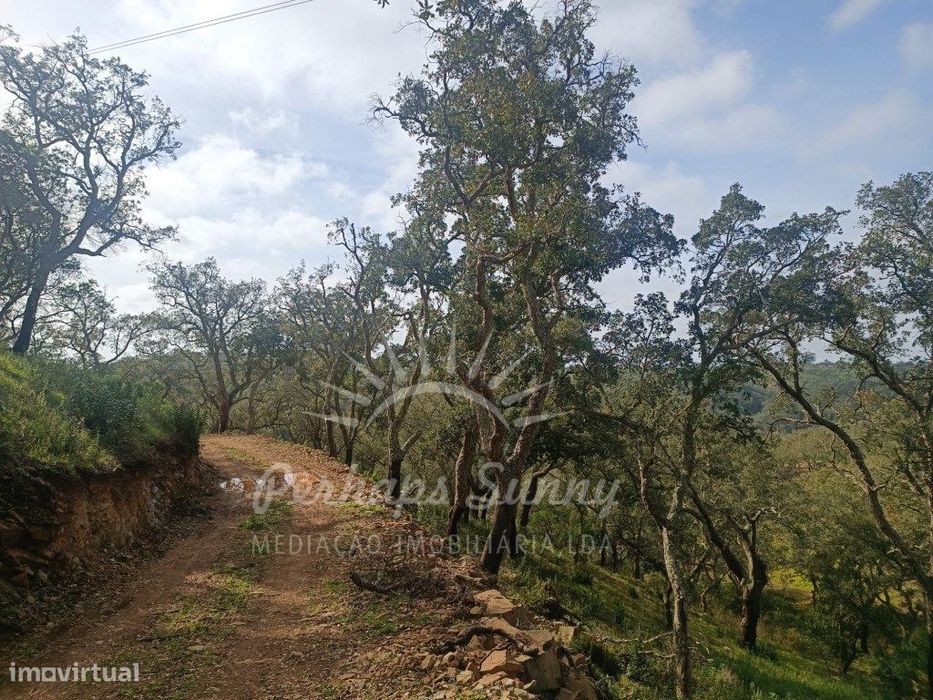 Terreno Rustico São Francisco da Serra