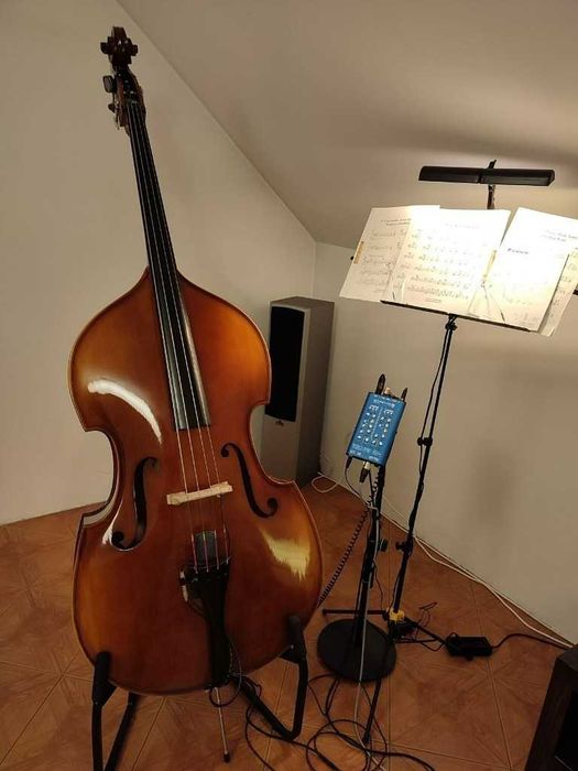 kontrabas thomann 33 masywny z osprzętem (Hora)