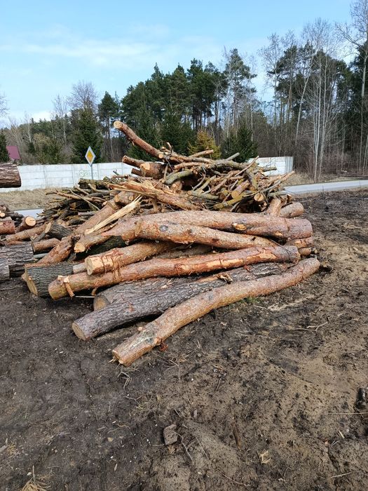 Drzewo opałowe sosna