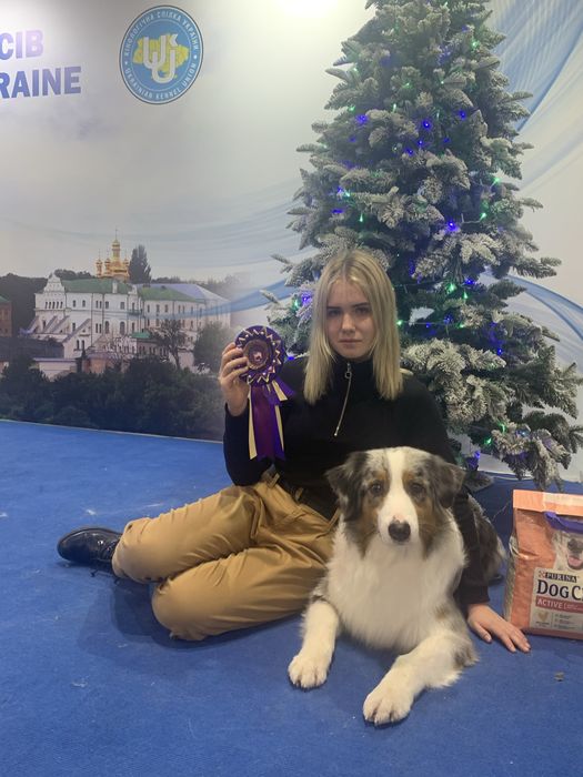 Профессиональный хендлер Одесса