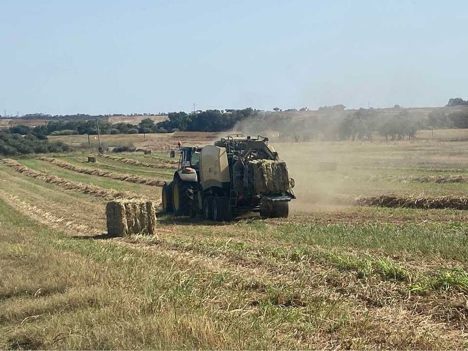 Venda de fardos de feno