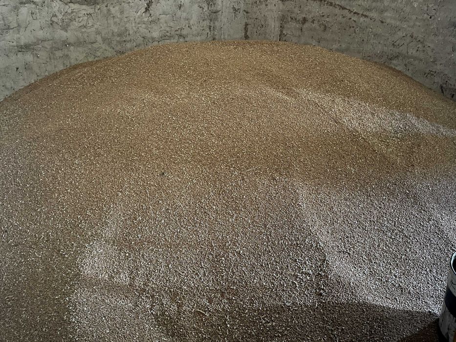 Pszenica dla kur niosek – 100kg