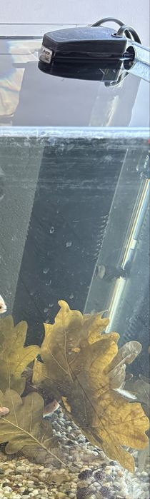 Filtr JP-023 F 100-250 l