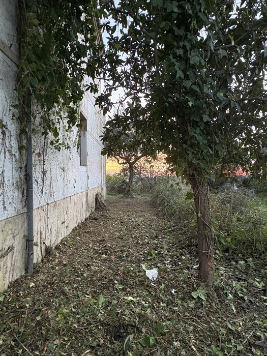 Limpezas de terrenos