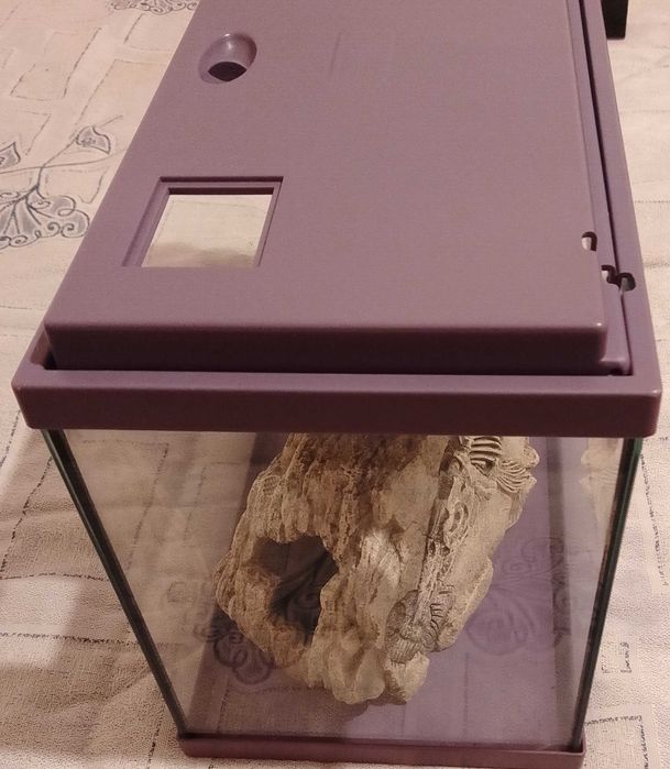 Aquário para peixes.