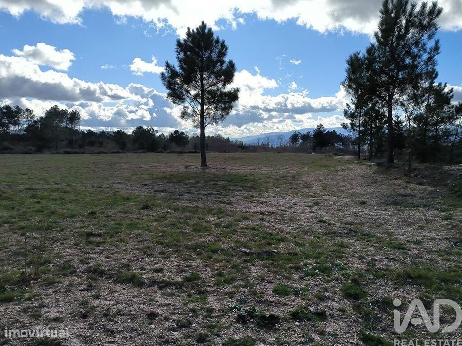 Quinta T5 em João Antão de 228,00 m2