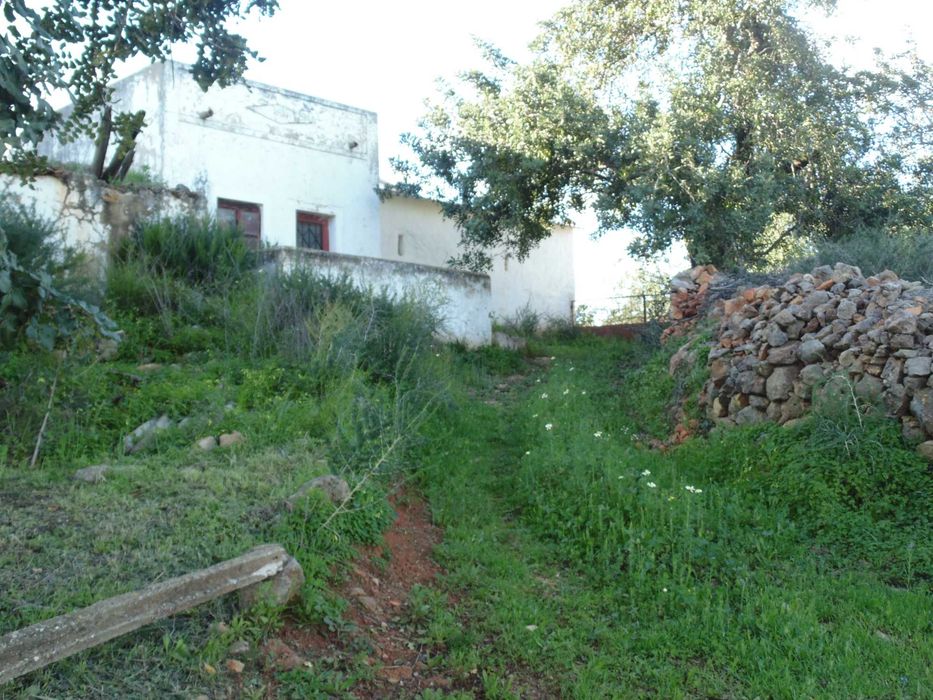 Quintinha com casa em ruínas para reconstrução – Quelfes, Olhão