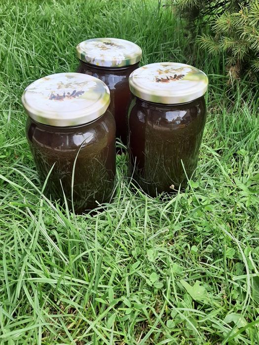 Miód spadziowy naturalny